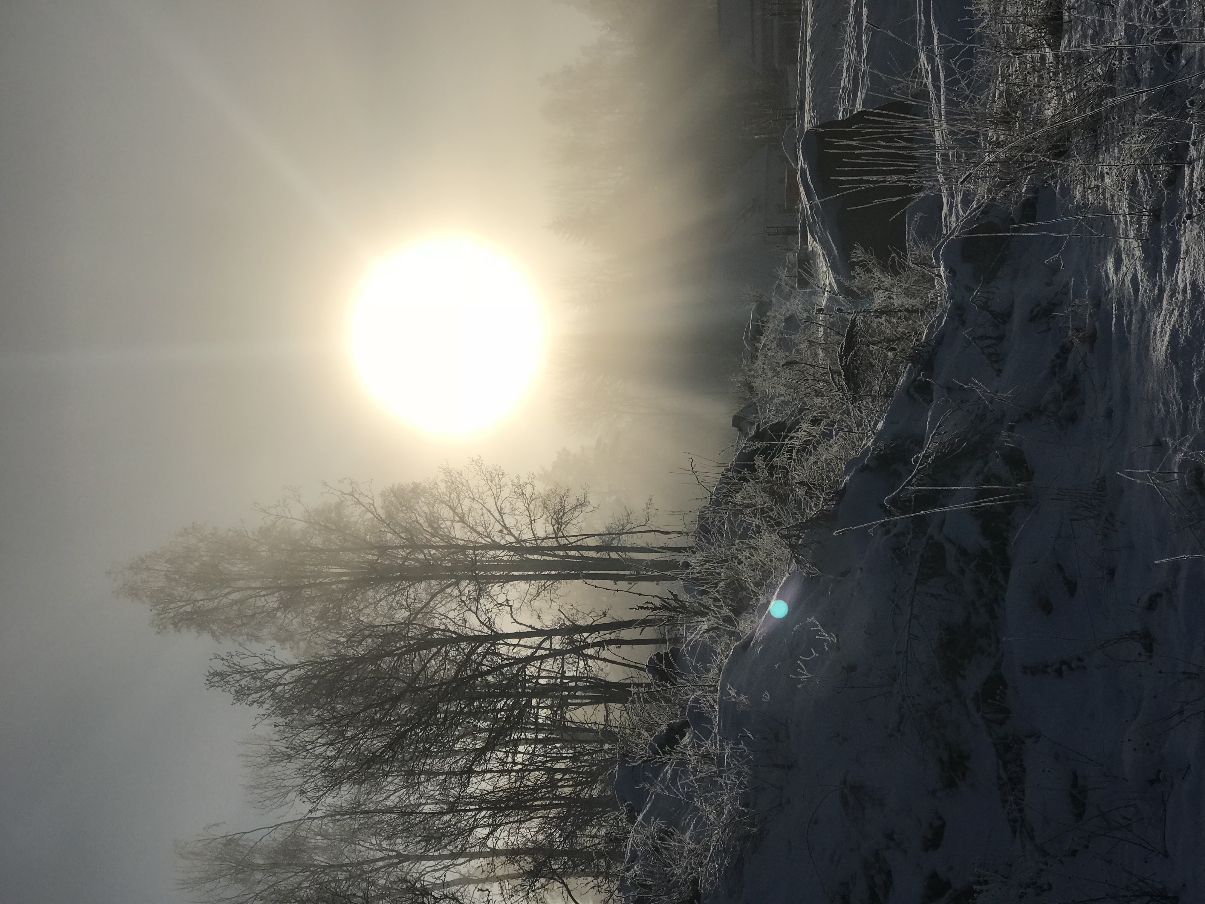 2018-01-21 11.31.56-1