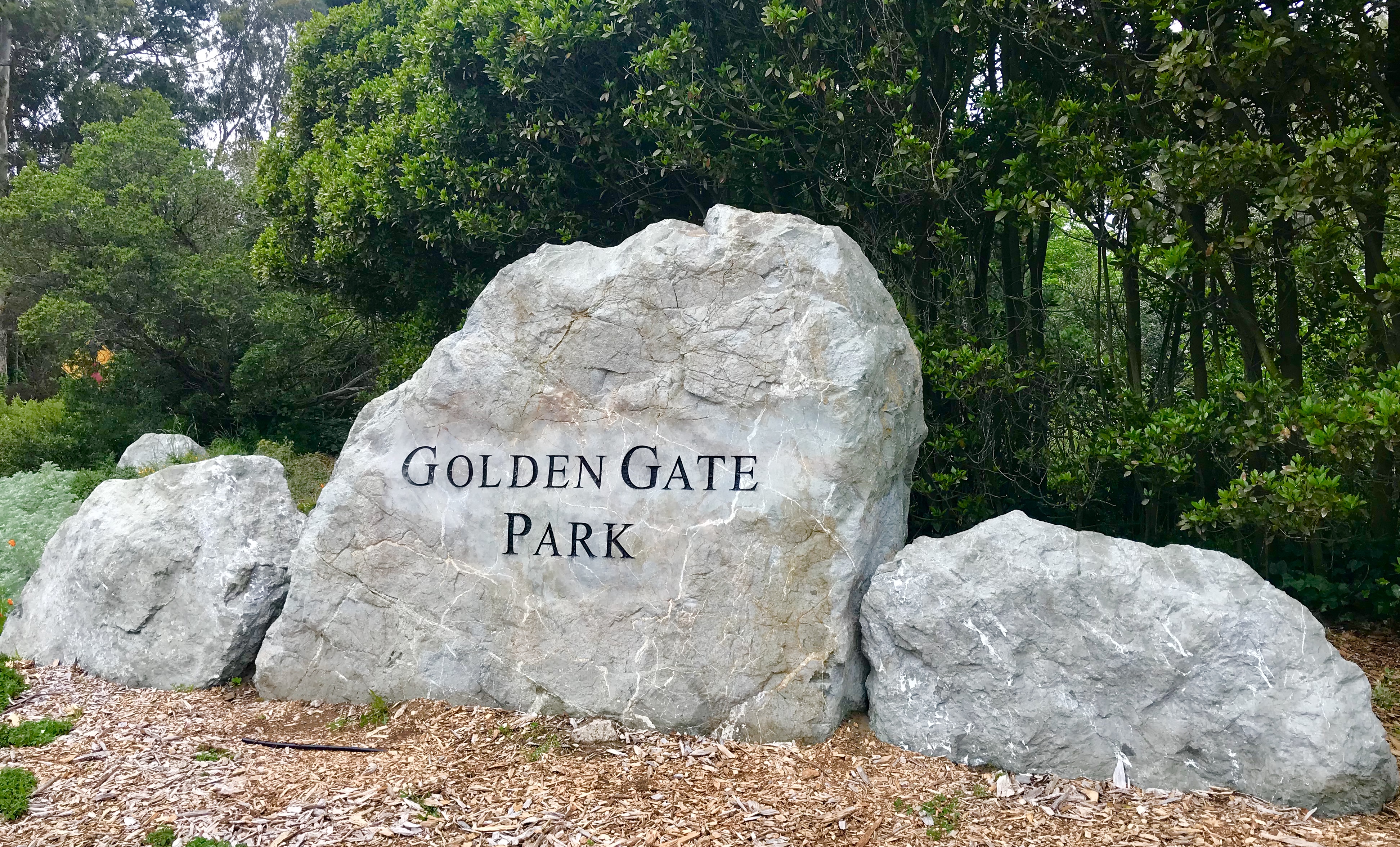 Golden gate park San Francisco