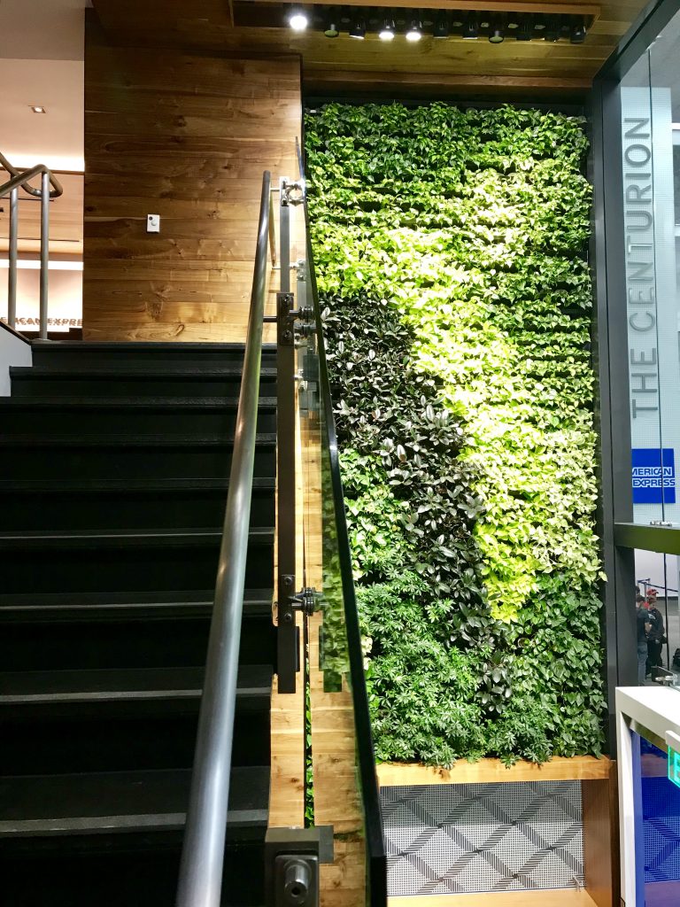 Amex Centurion lounge, SFO