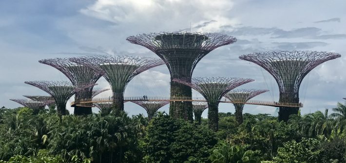 Gardens by the bay