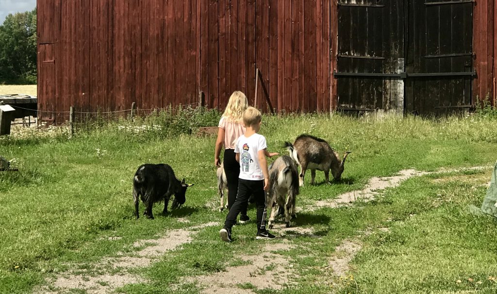 Björkö 4H-gård, Ljungsbro