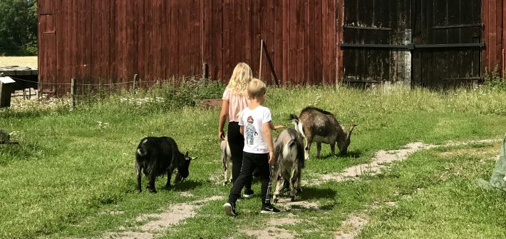 Björkö 4H-gård, Ljungsbro