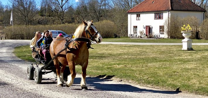 Påsklovskul på Husby Säteri