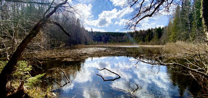 3 kortare vandringar i Östergötland