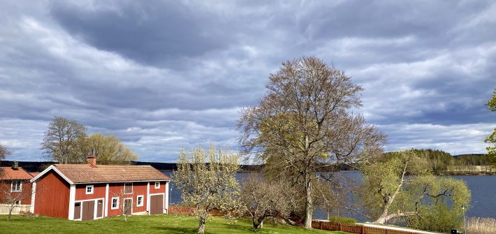 Dagarna som går som kallas livet - Nora