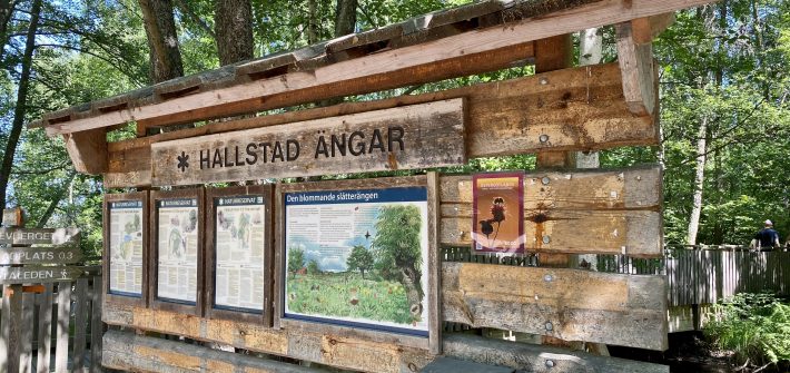 Hallstad ängar