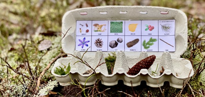 Naturbingo