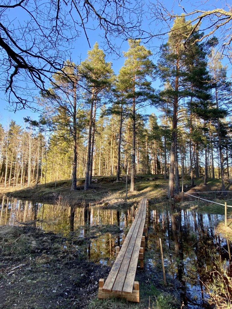 Ullabergs våtmark