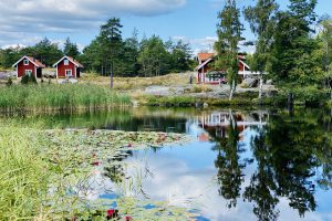 Harstena Gryts Skärgård Näckrossjön med bageriet i bakgrunden