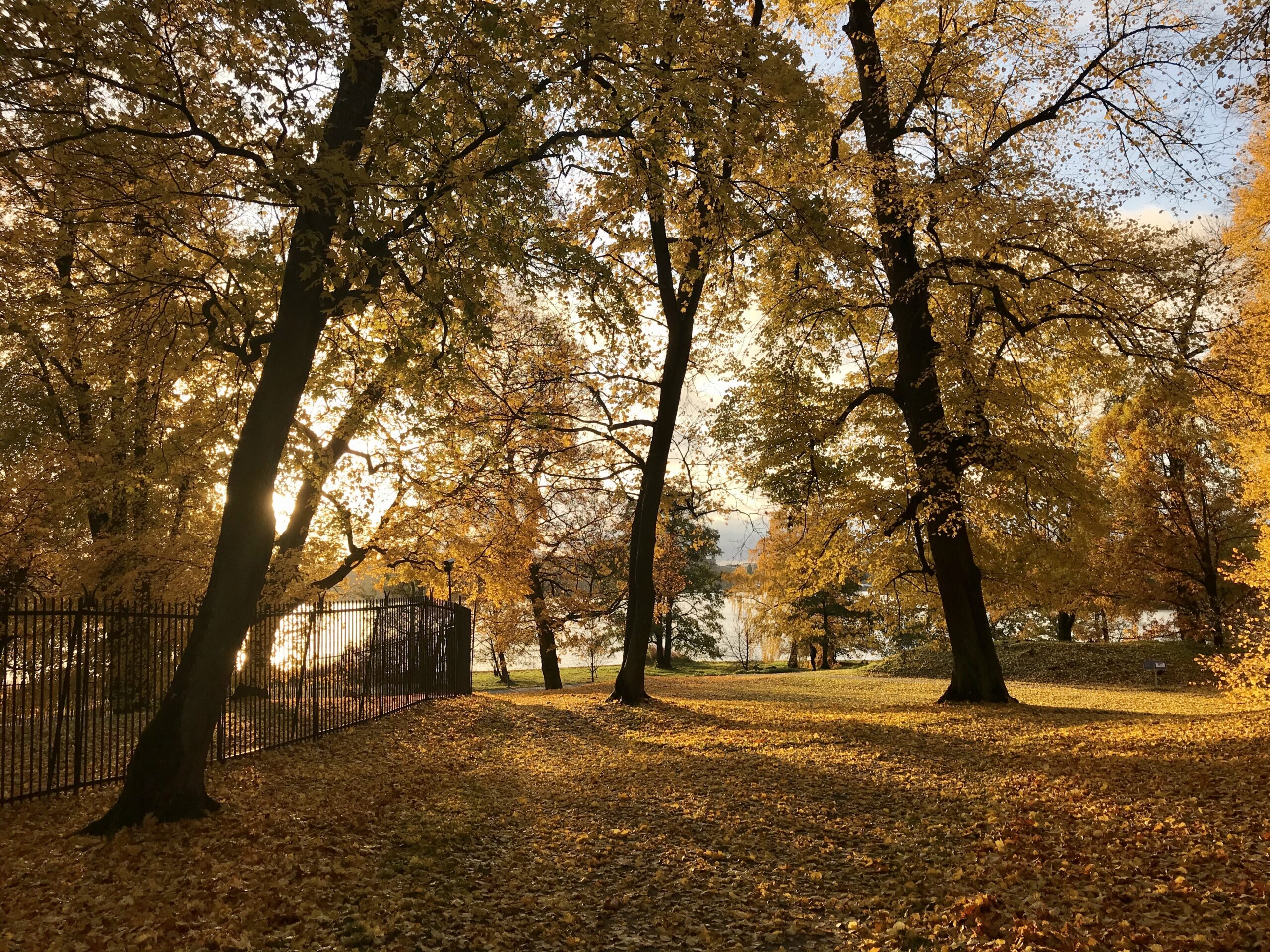 Ett inlägg om dagen hela oktober